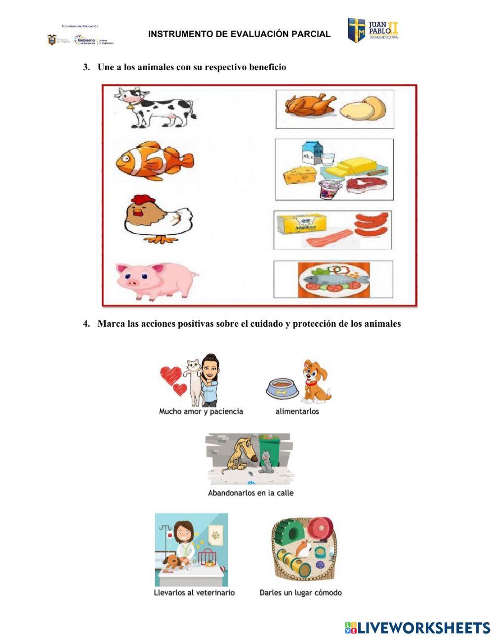 Evaluación de Ciencias Naturales