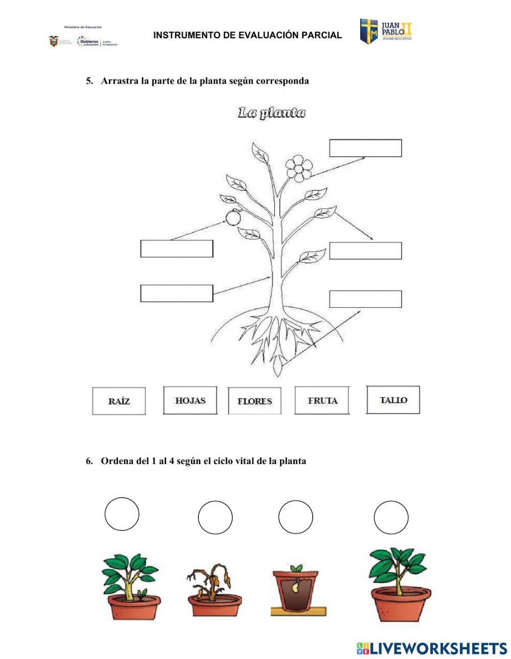 Evaluación de Ciencias Naturales