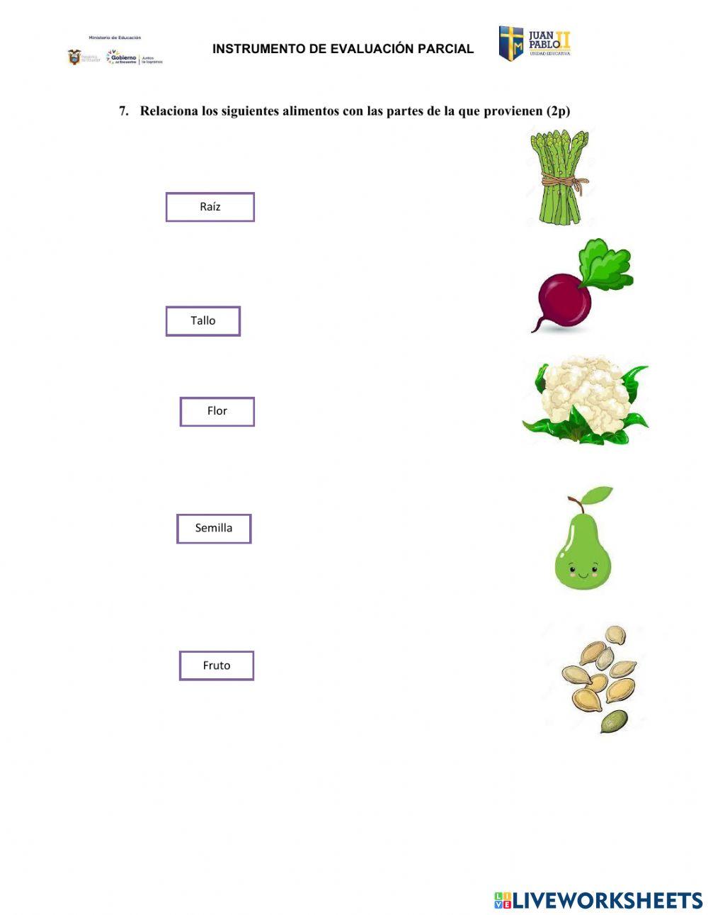 Evaluación de Ciencias Naturales