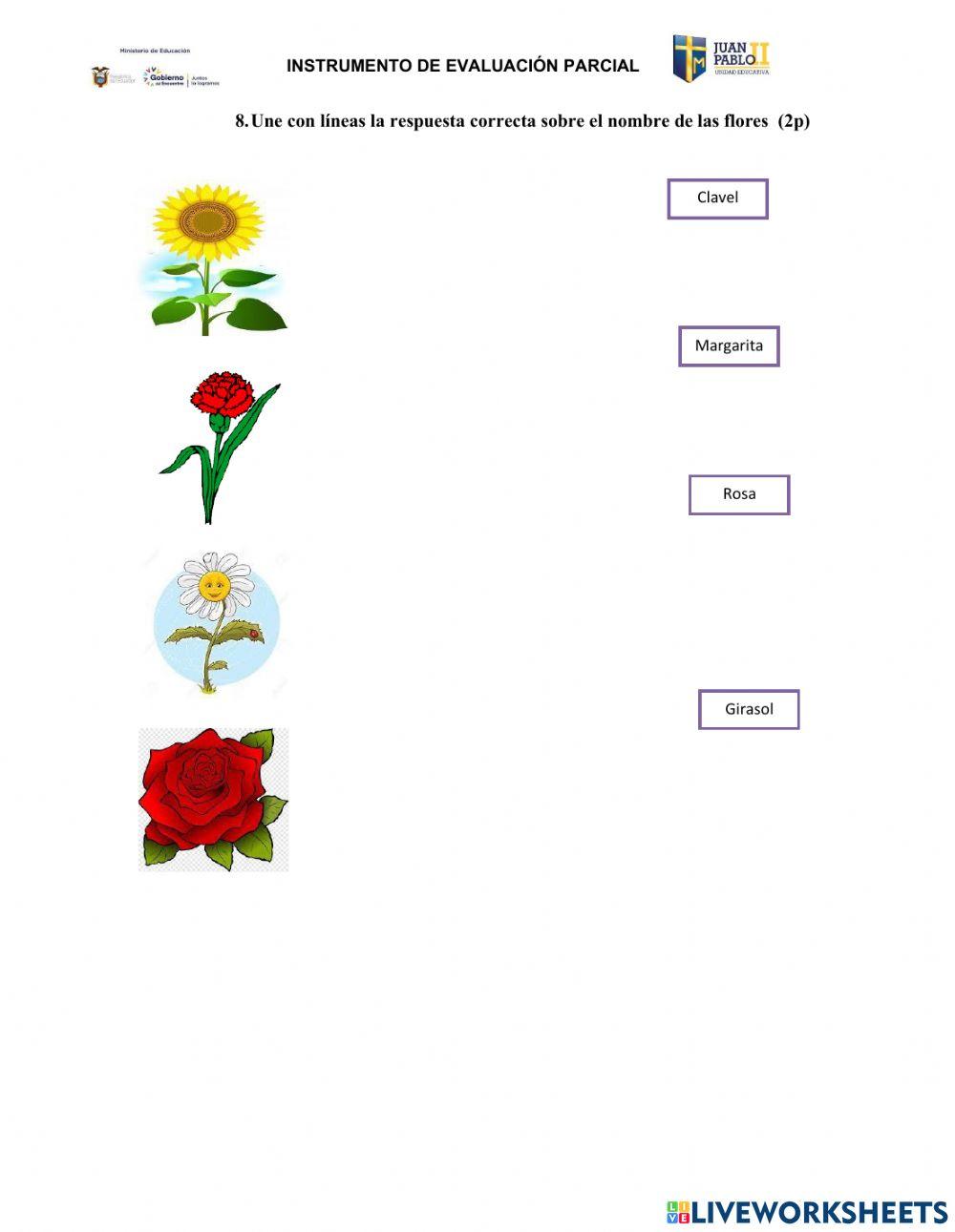 Evaluación de Ciencias Naturales