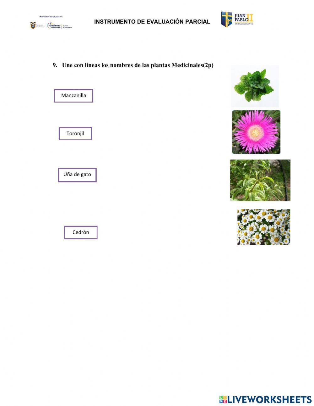 Evaluación de Ciencias Naturales