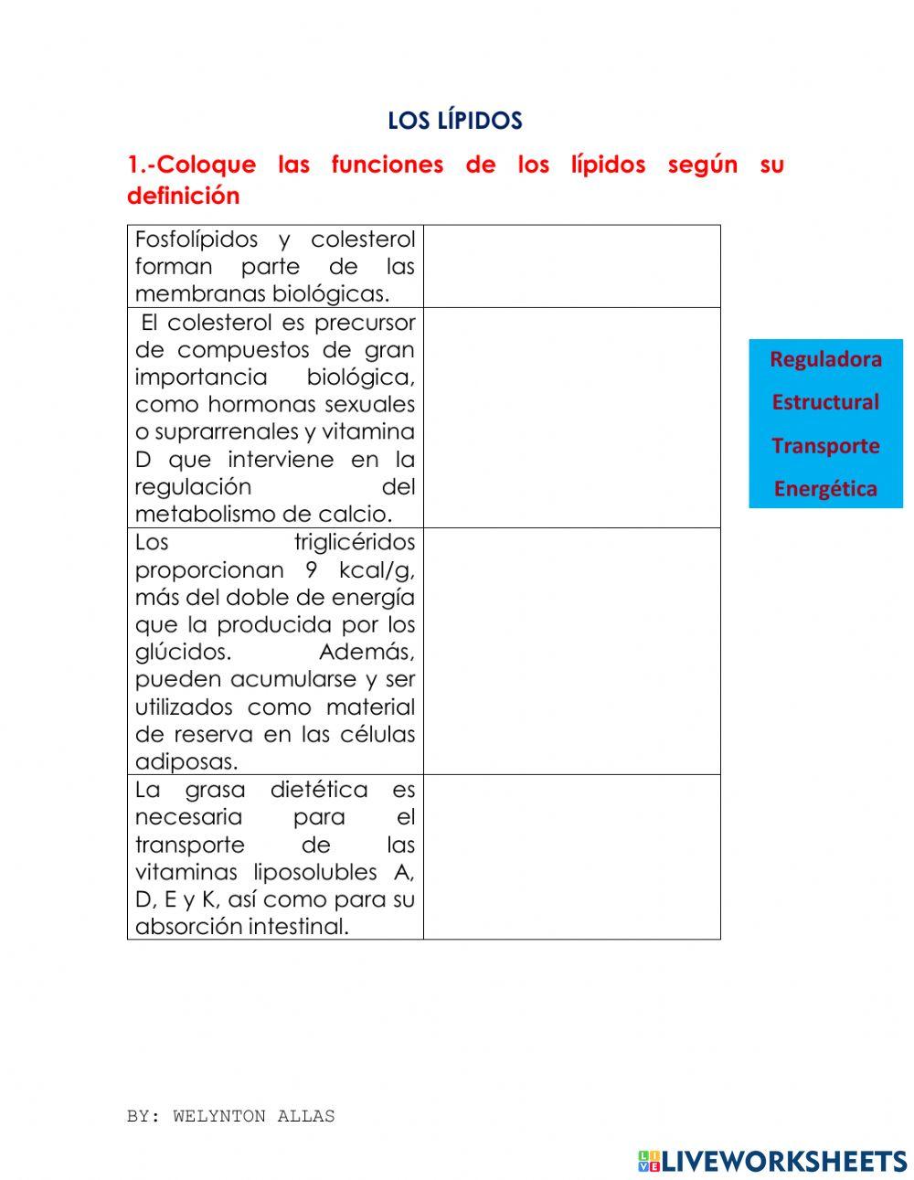 Glúcidos y lípidos