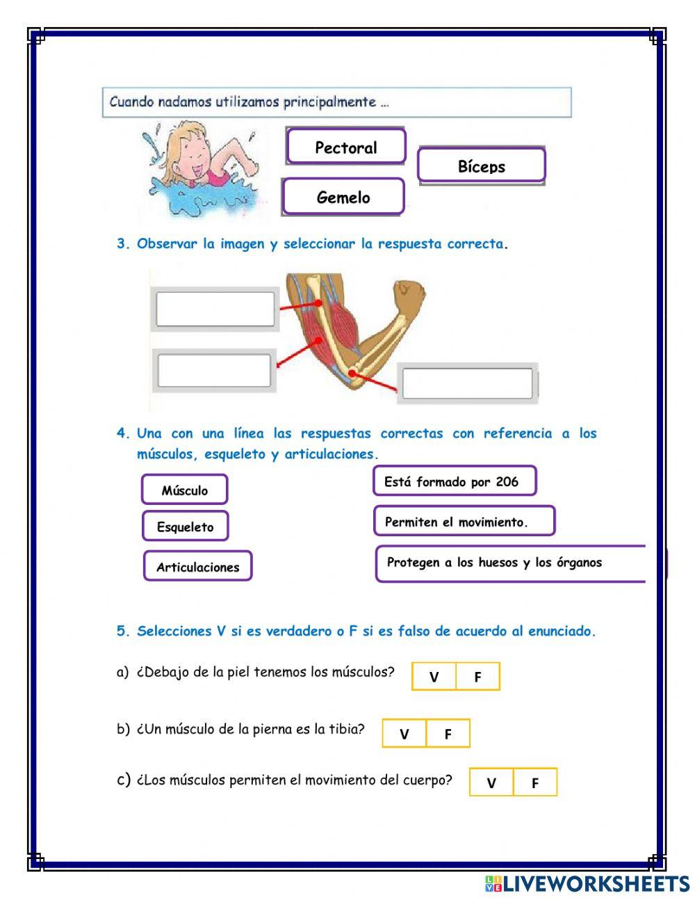 Taller de ciencias naturales Taller de ciencias naturales