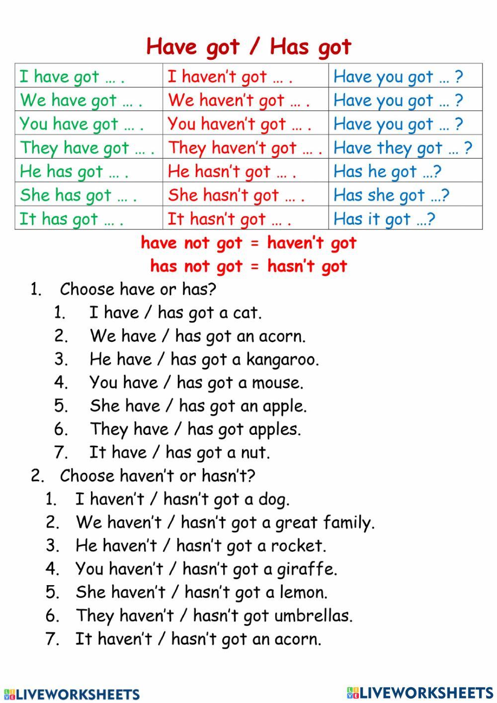 Have got has got affirmative negative sentences