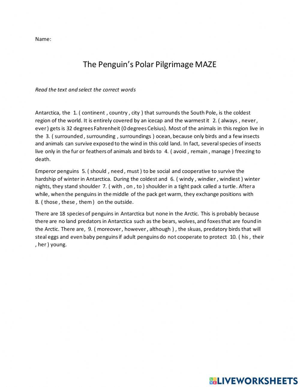 The Penguin's Polar Pilgrimage MAZE
