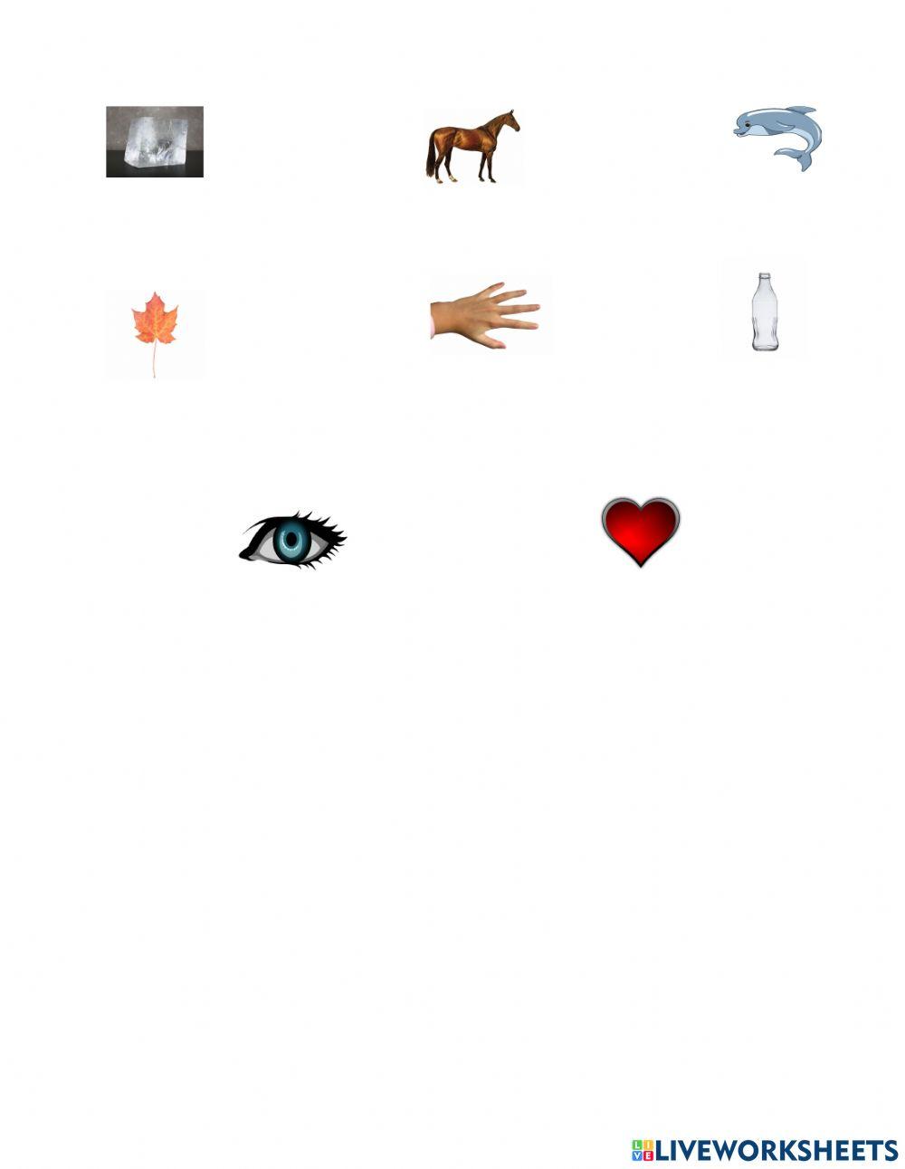 Vocabulaire -spot it-