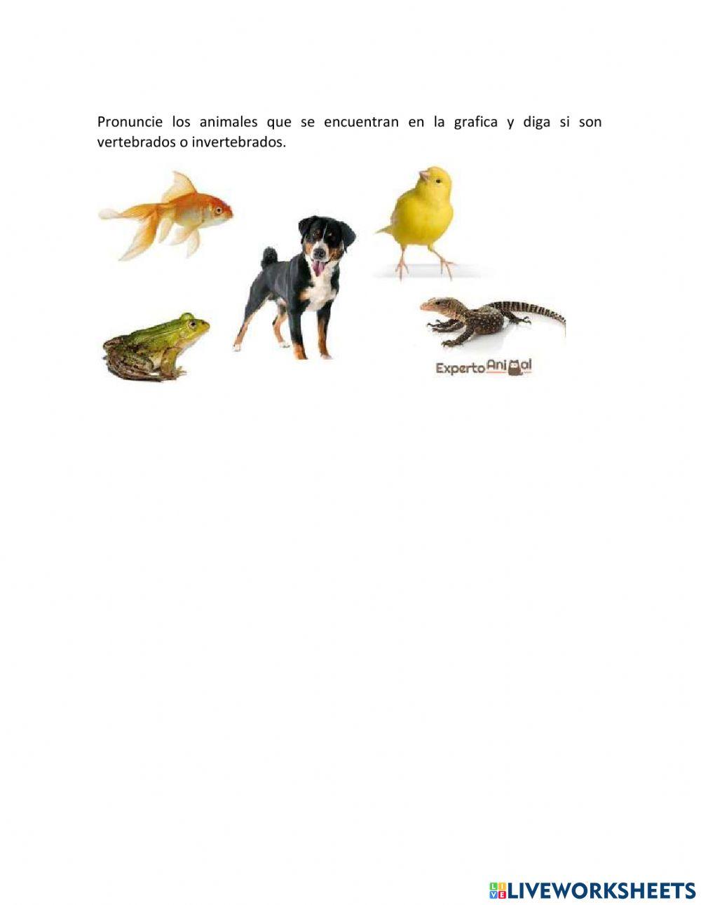 Los animales vertebrados e invertebrados.