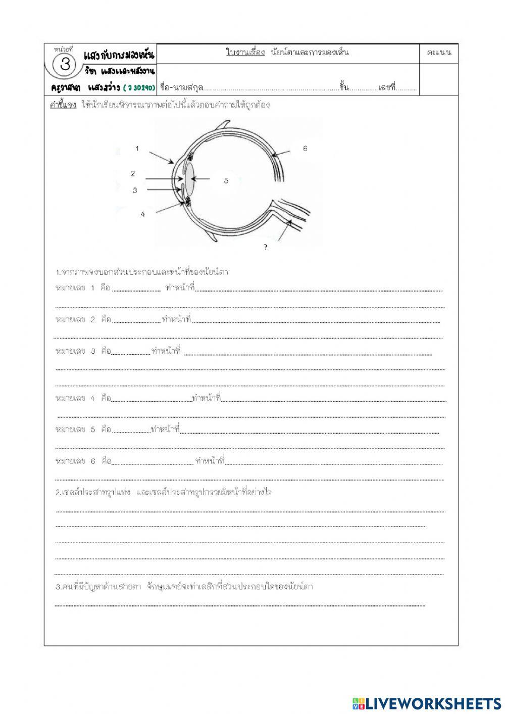 นัยน์ตากับการมองเห็น