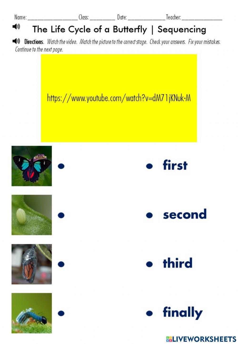 Butterfly Life Cycle Sequencing Worksheet