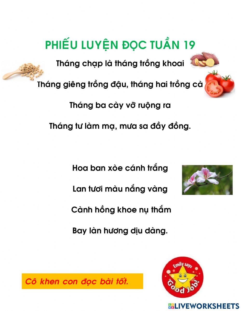 Tiếng Việt