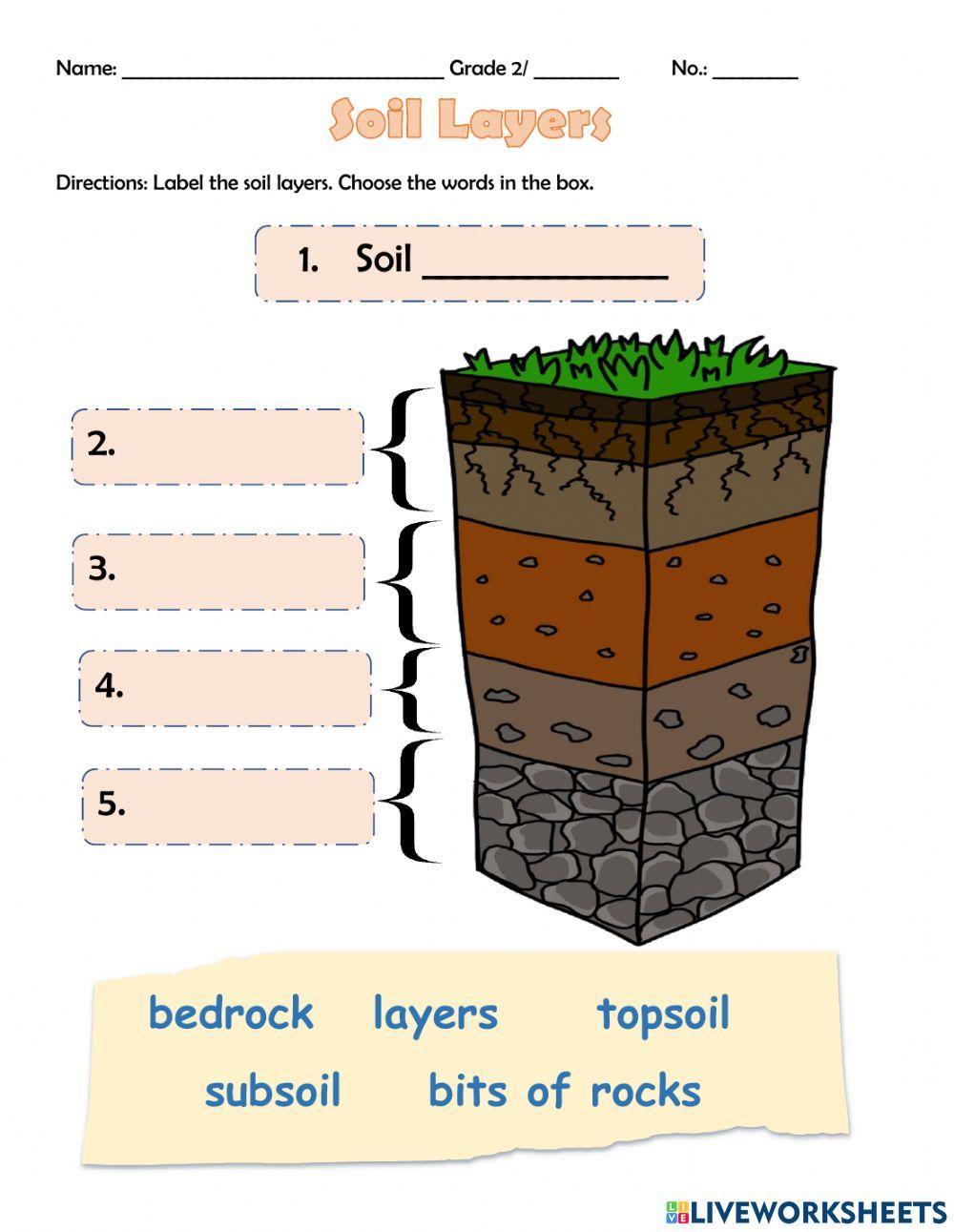 Soil Layers LiveWorksheets 1794755 soil-layers-liveworksheets-1794755
