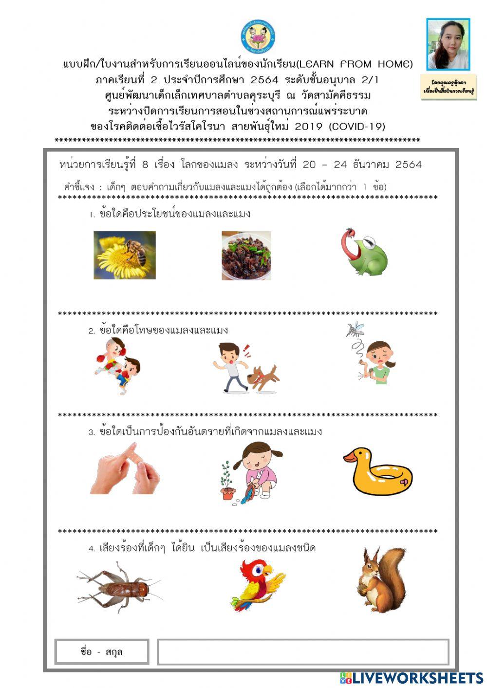 ตอบคำถามเกี่ยวกับแมลงและแมงได้