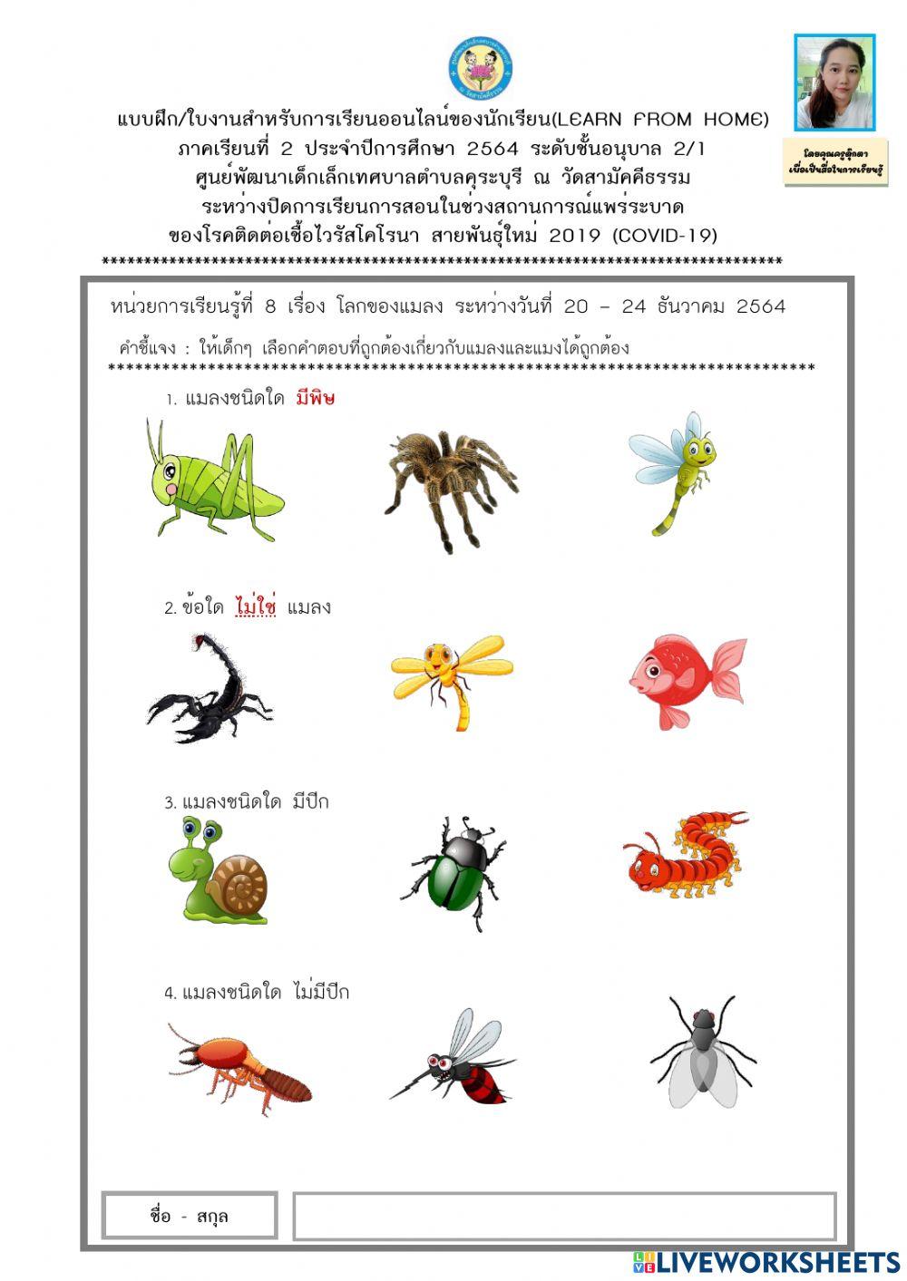 เลือกคำตอบที่ถูกต้องเกี่ยวกับแมลงและแมง 2