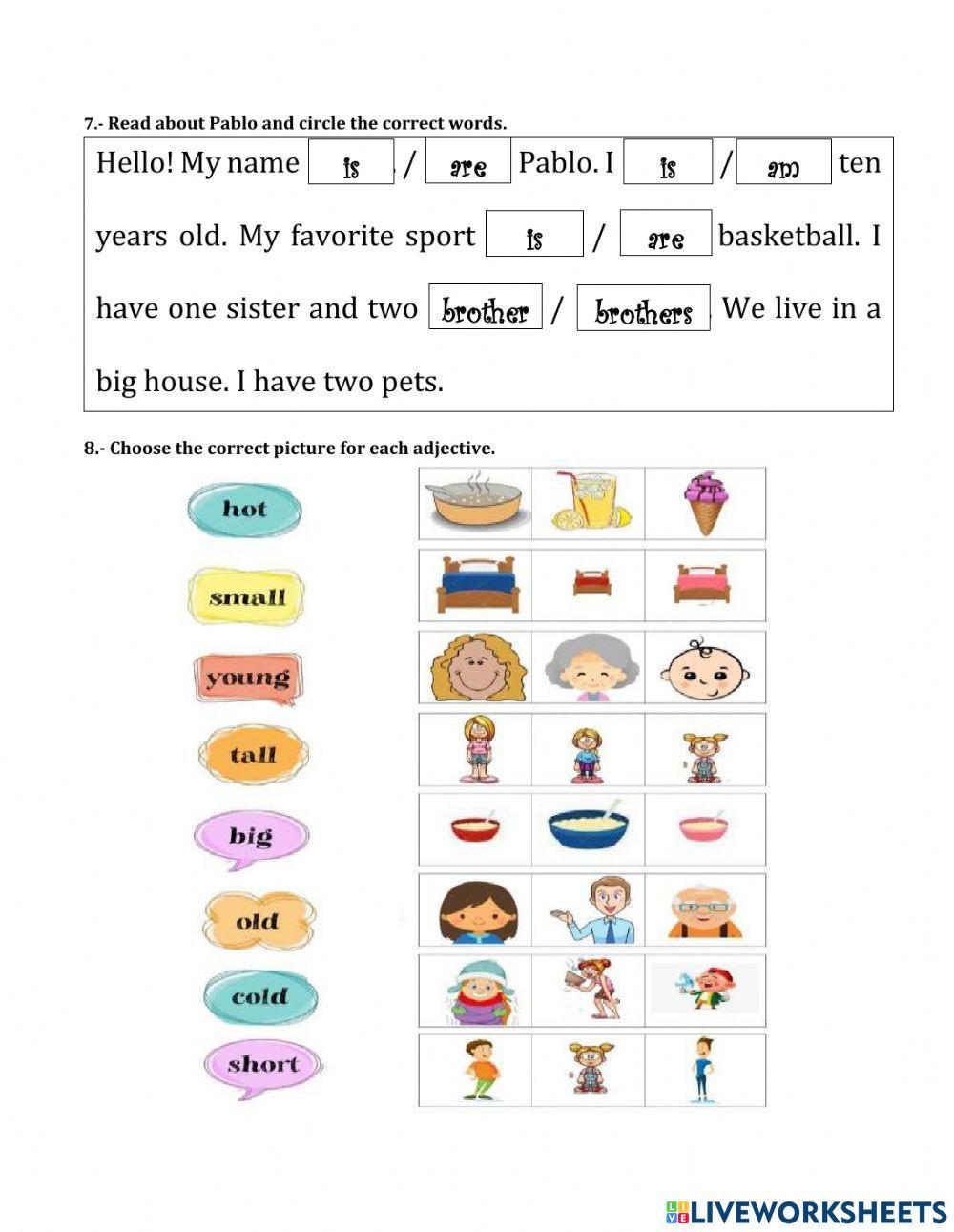Diagnostic test 5th grade