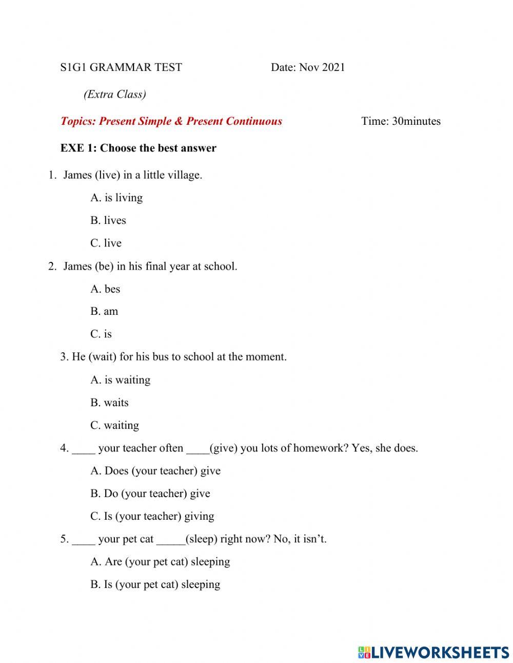 S1g1 grammar test