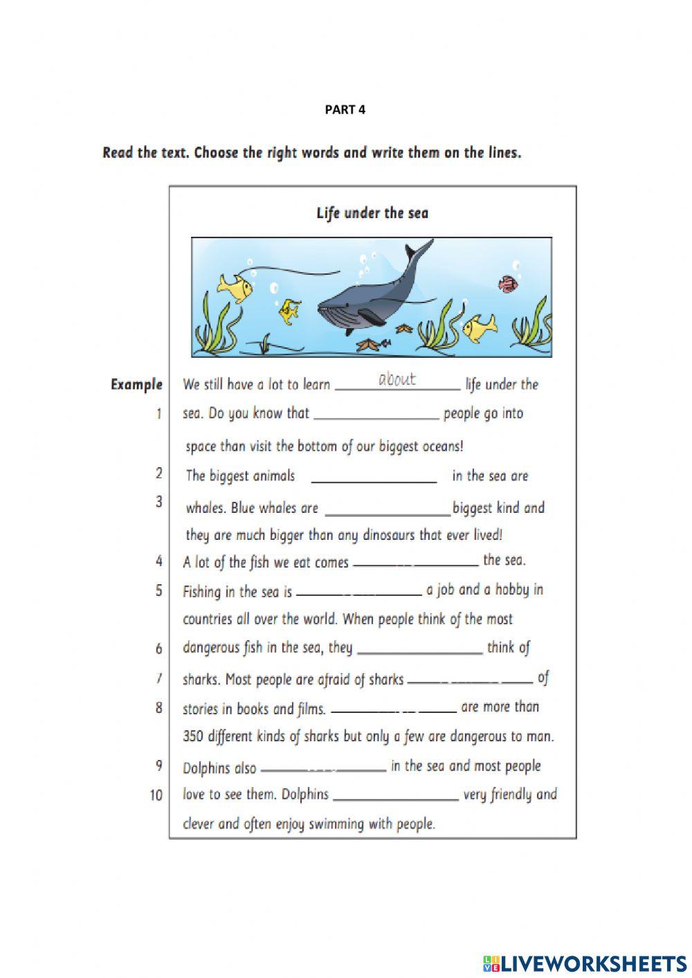 Flyer 6 - exam - reading