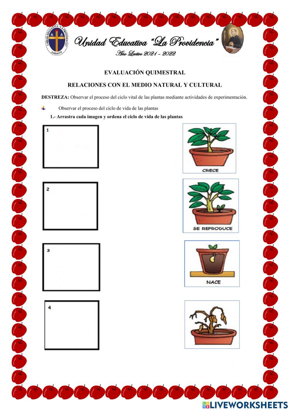 Evaluación Quimestral Relaciones con el Medio Natural