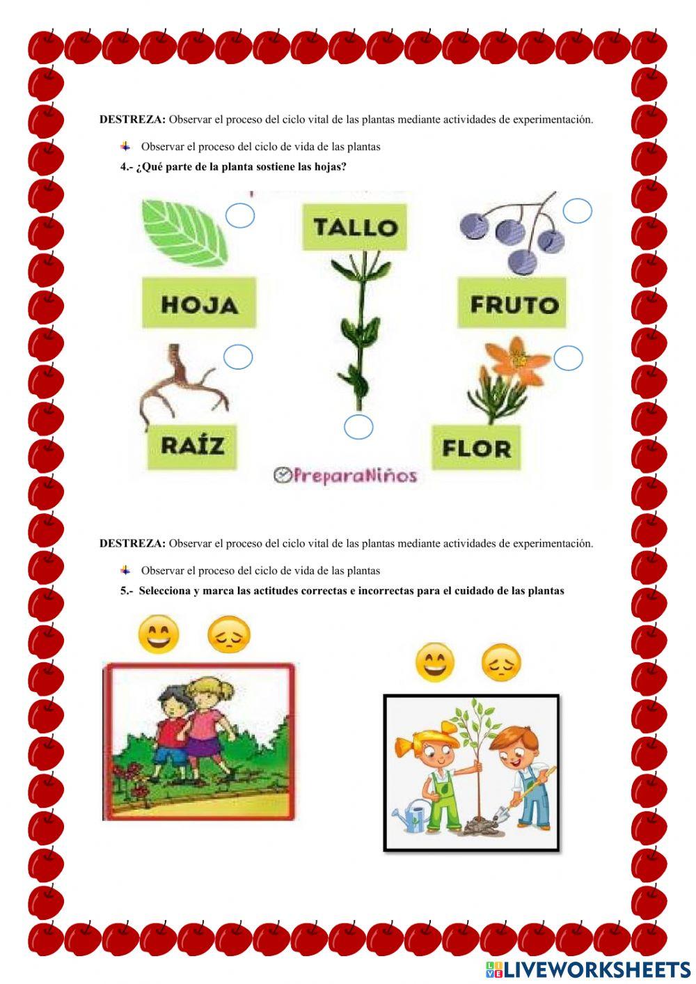 Evaluación Quimestral Relaciones con el Medio Natural