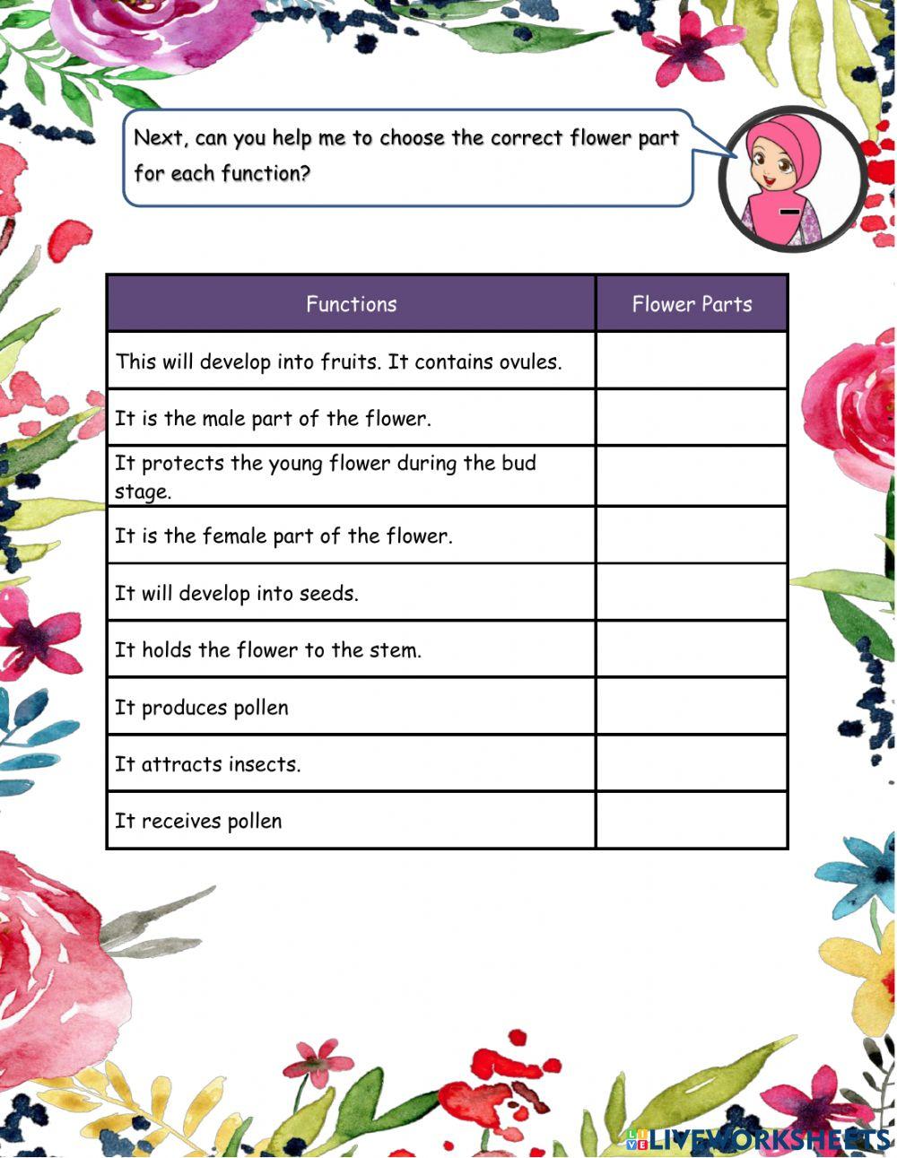 Flower Parts Worksheet Live Worksheets