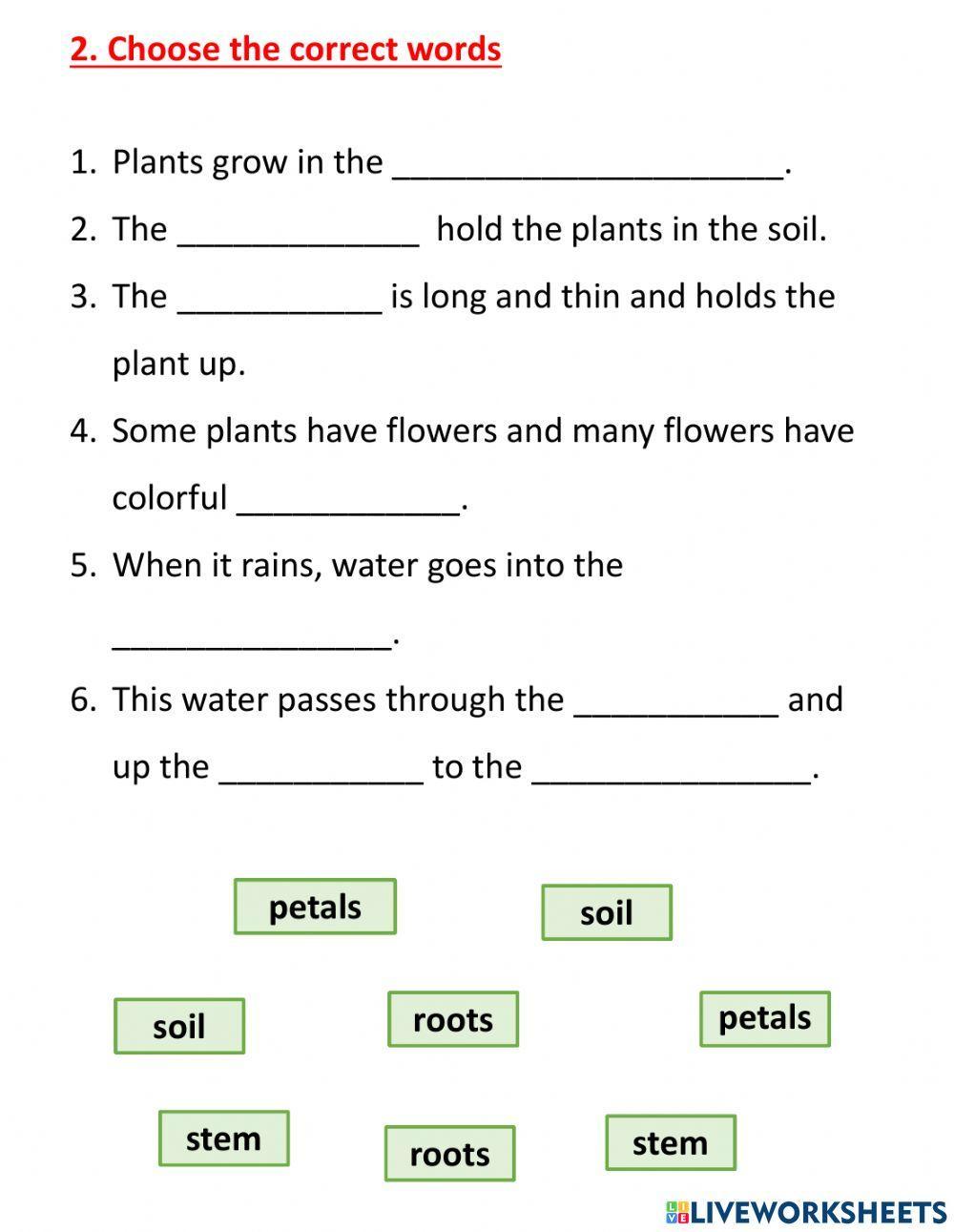 AS4 - U8 - check Vocab