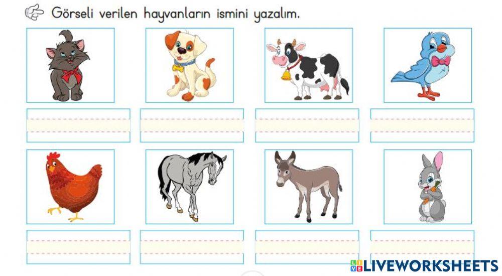 Hayvanların İsimlerini Yazalım