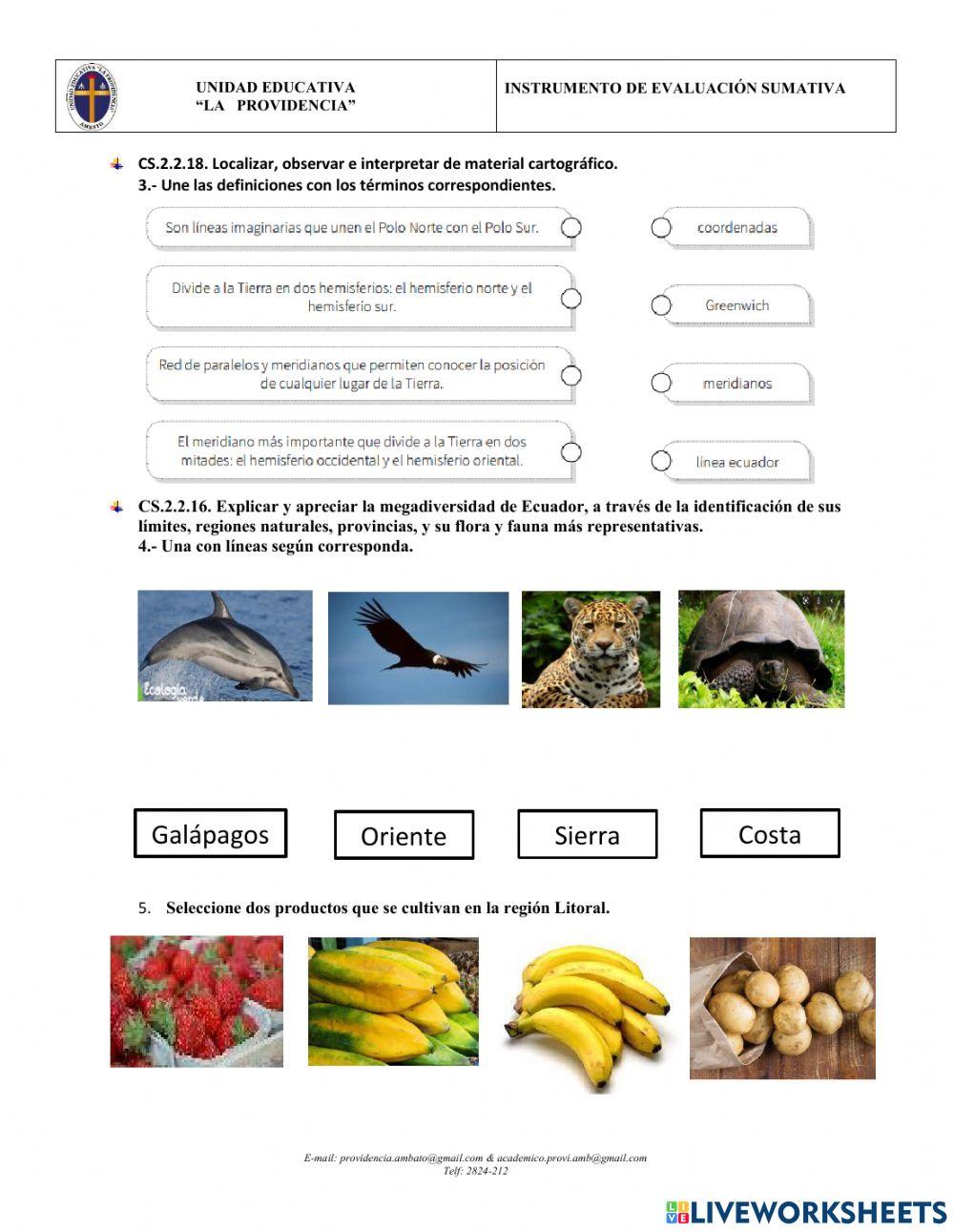 Evaluación quimestral