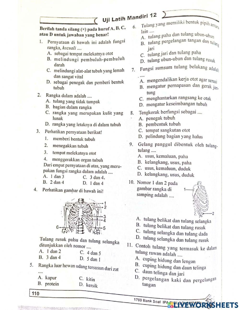 BIOLOGI bab 12 Sistem gerak pada manusia
