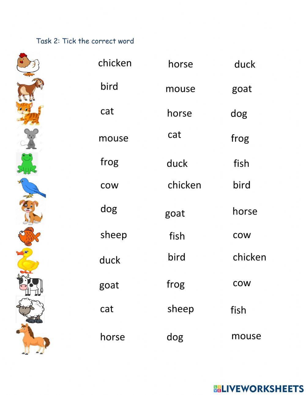 Review Animals