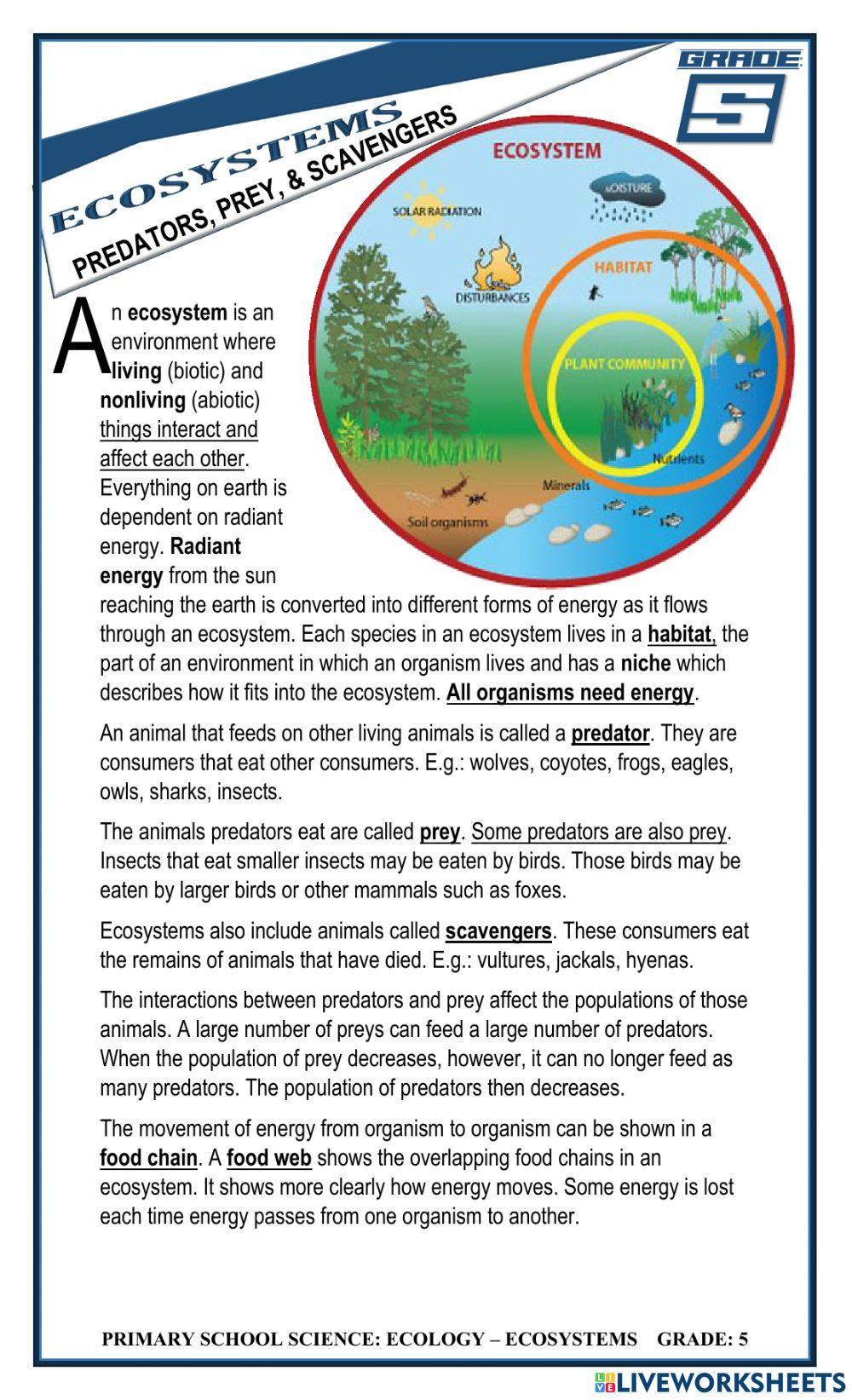 Ecology: Ecosystems