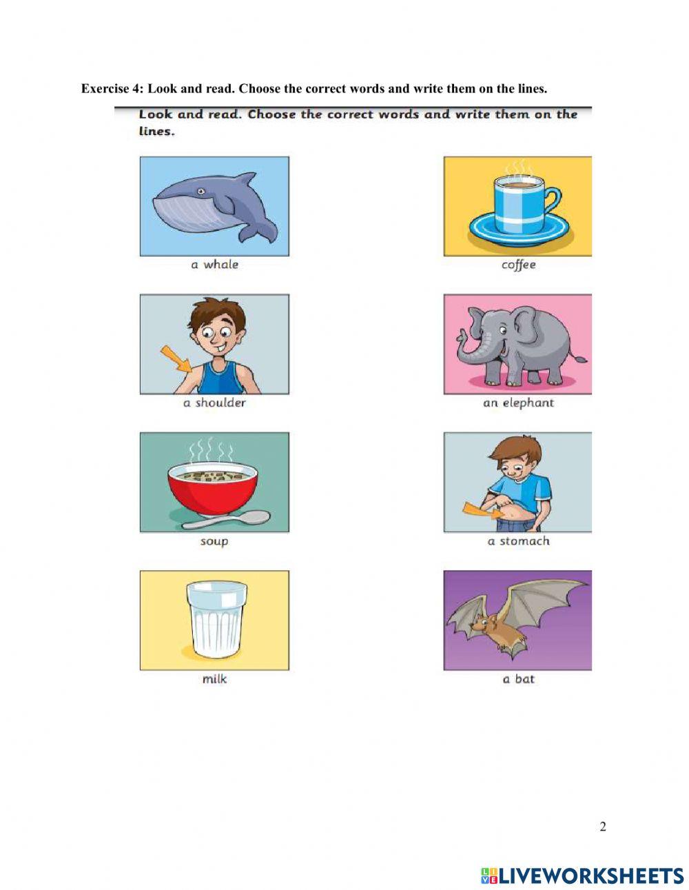 Movers practice test 2 online exercise for Live Worksheets