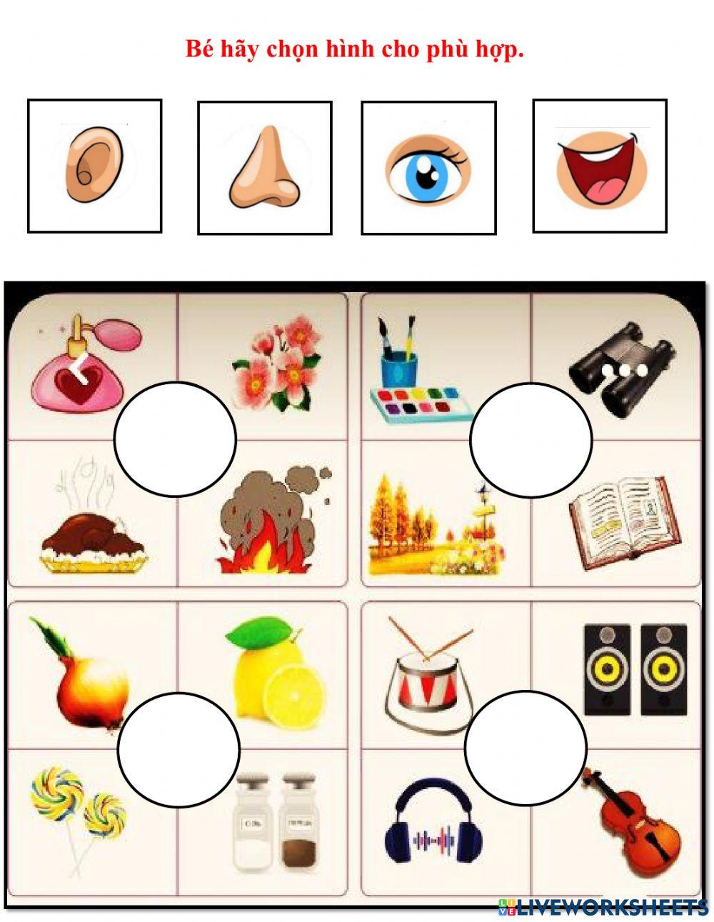 Cuốn MTXQ - Trang 4 - Lớp Mầm