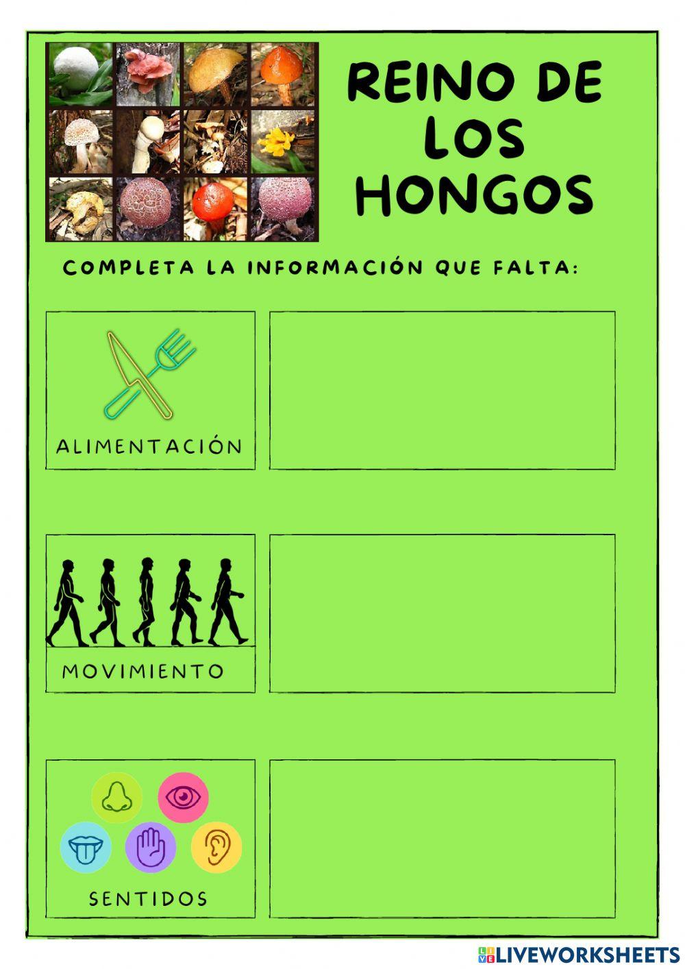 Reinos de los seres vivos