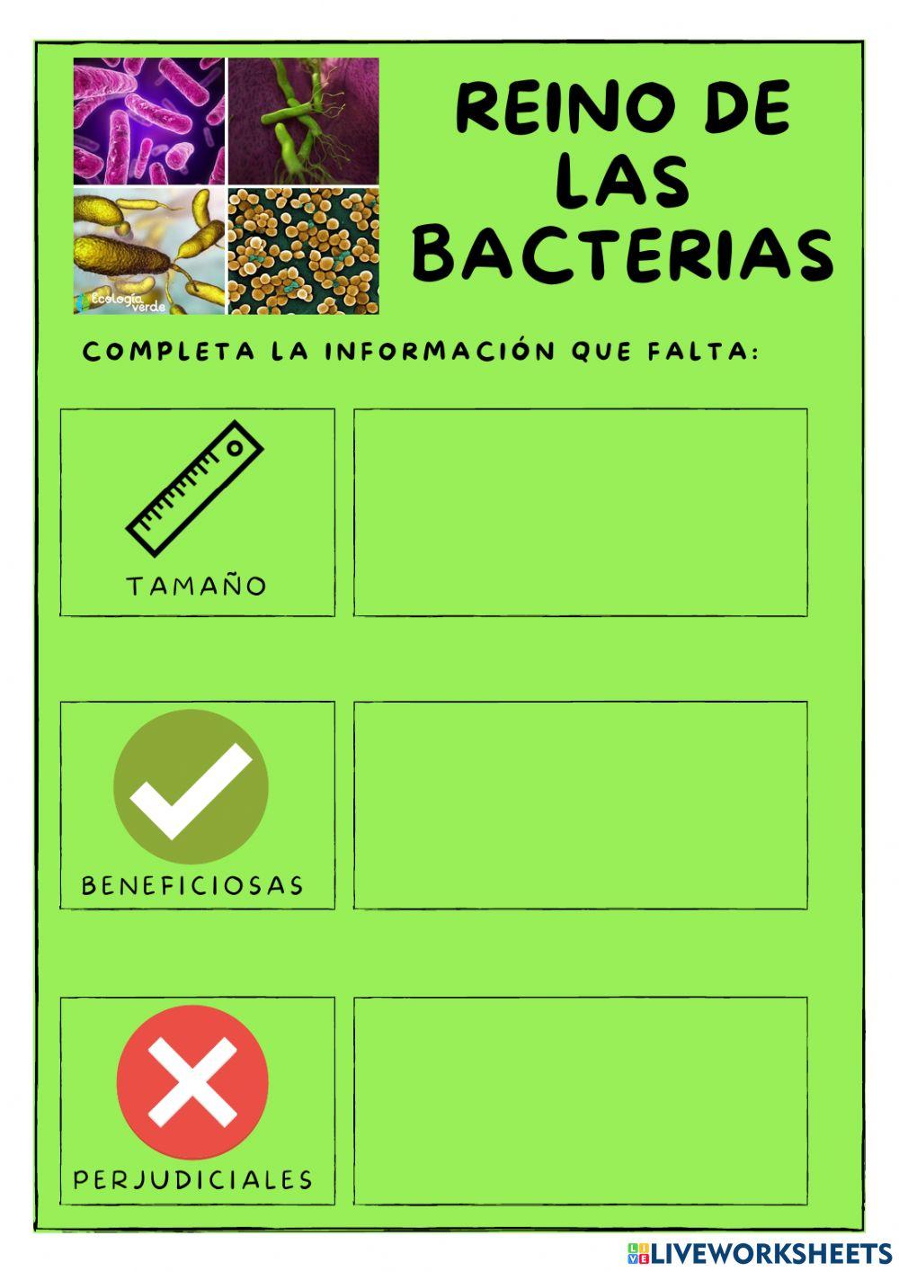 Reinos de los seres vivos