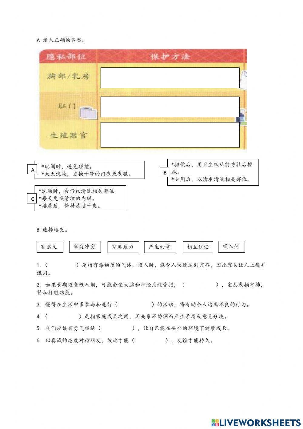 5年级体健生活面面观（复习）