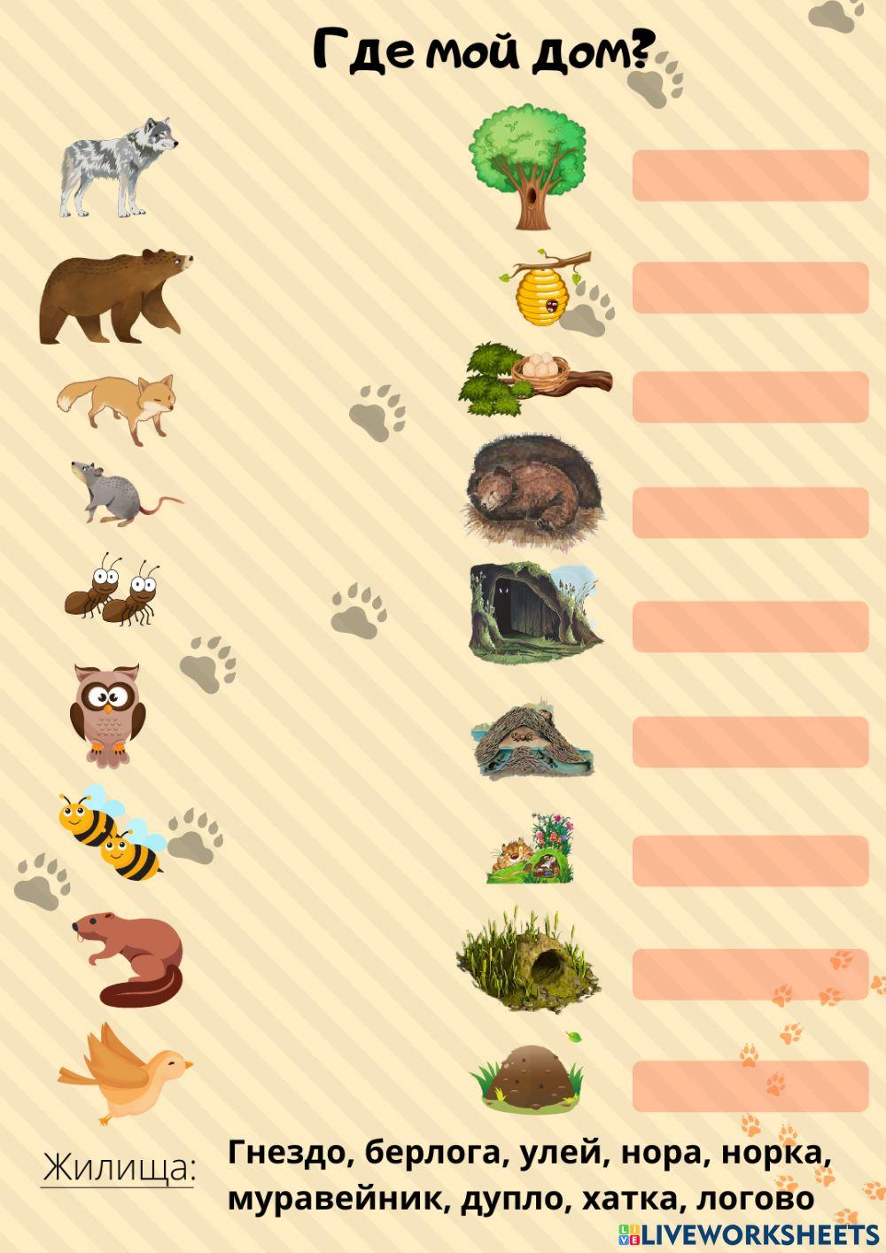 Жилища диких животных