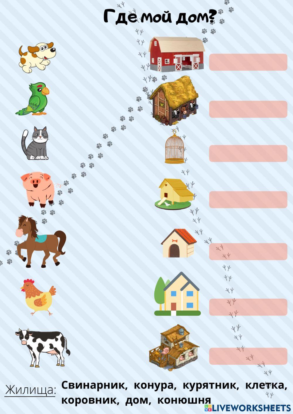 Жилища домашних животных