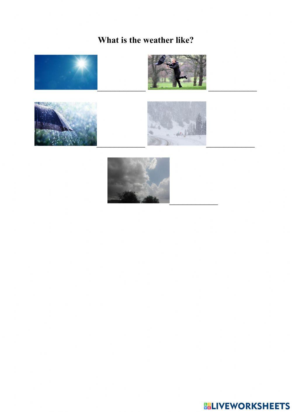 What is the weather like?