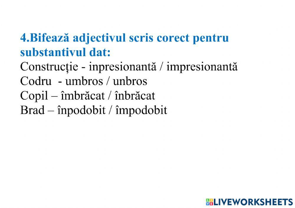 Acordul adjectivului cu substantivul, clasa a IV-a