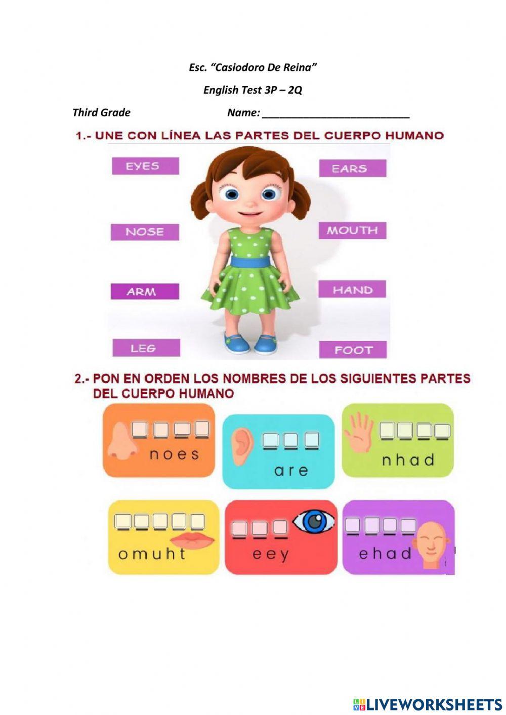 My body - demostratives