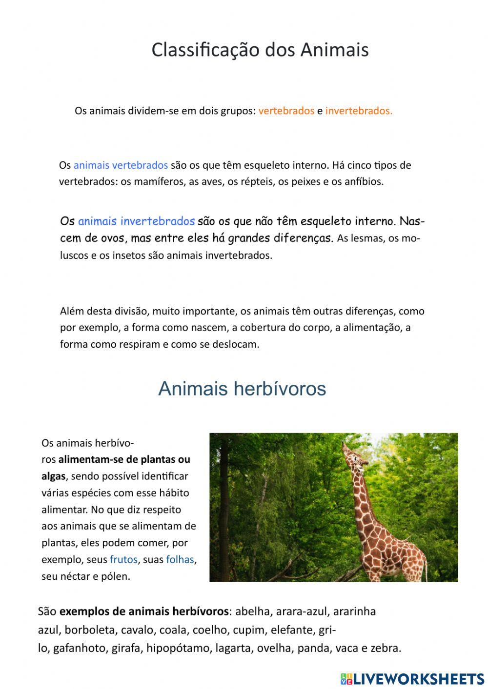 Classificação dos Animais