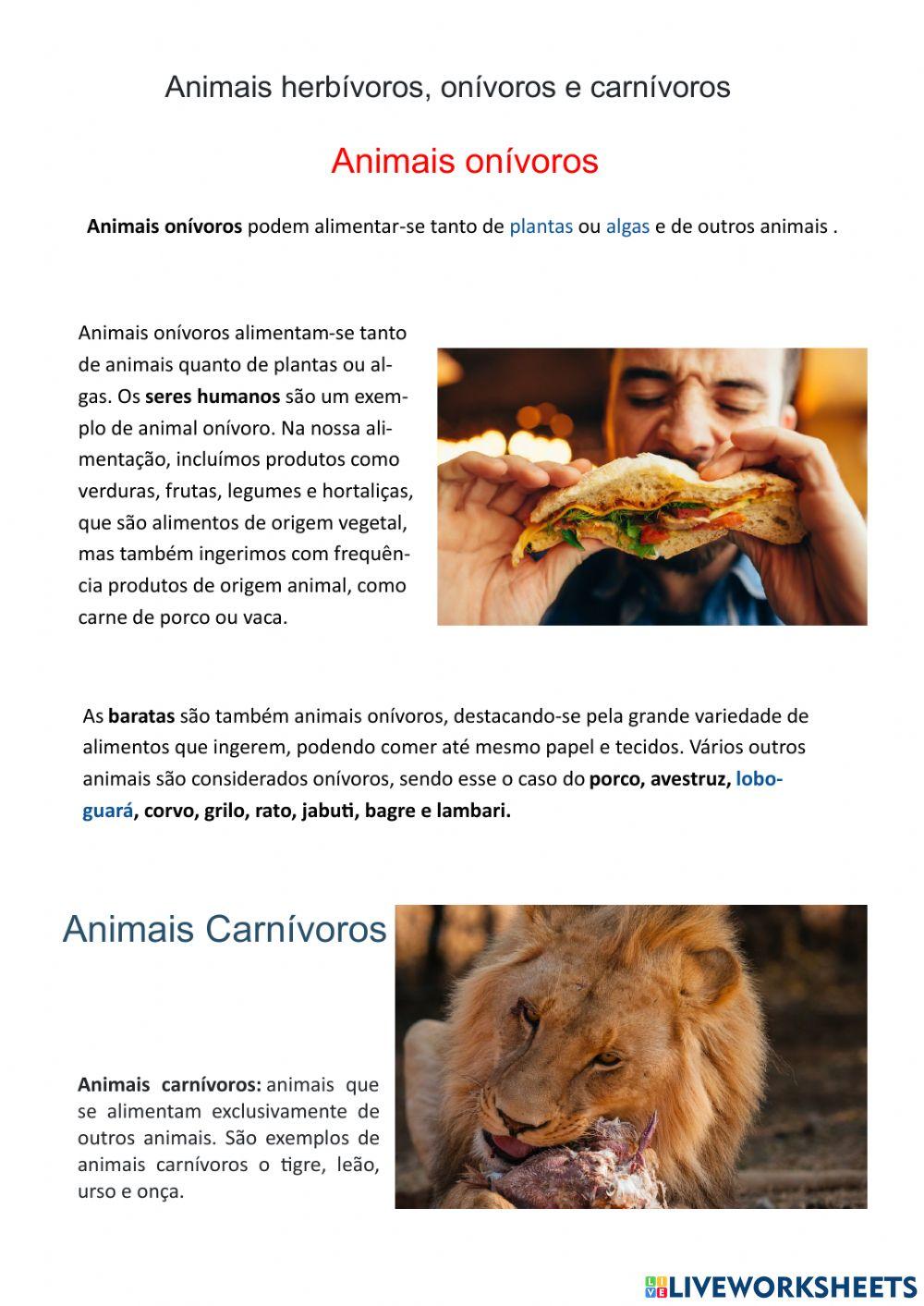Classificação dos Animais