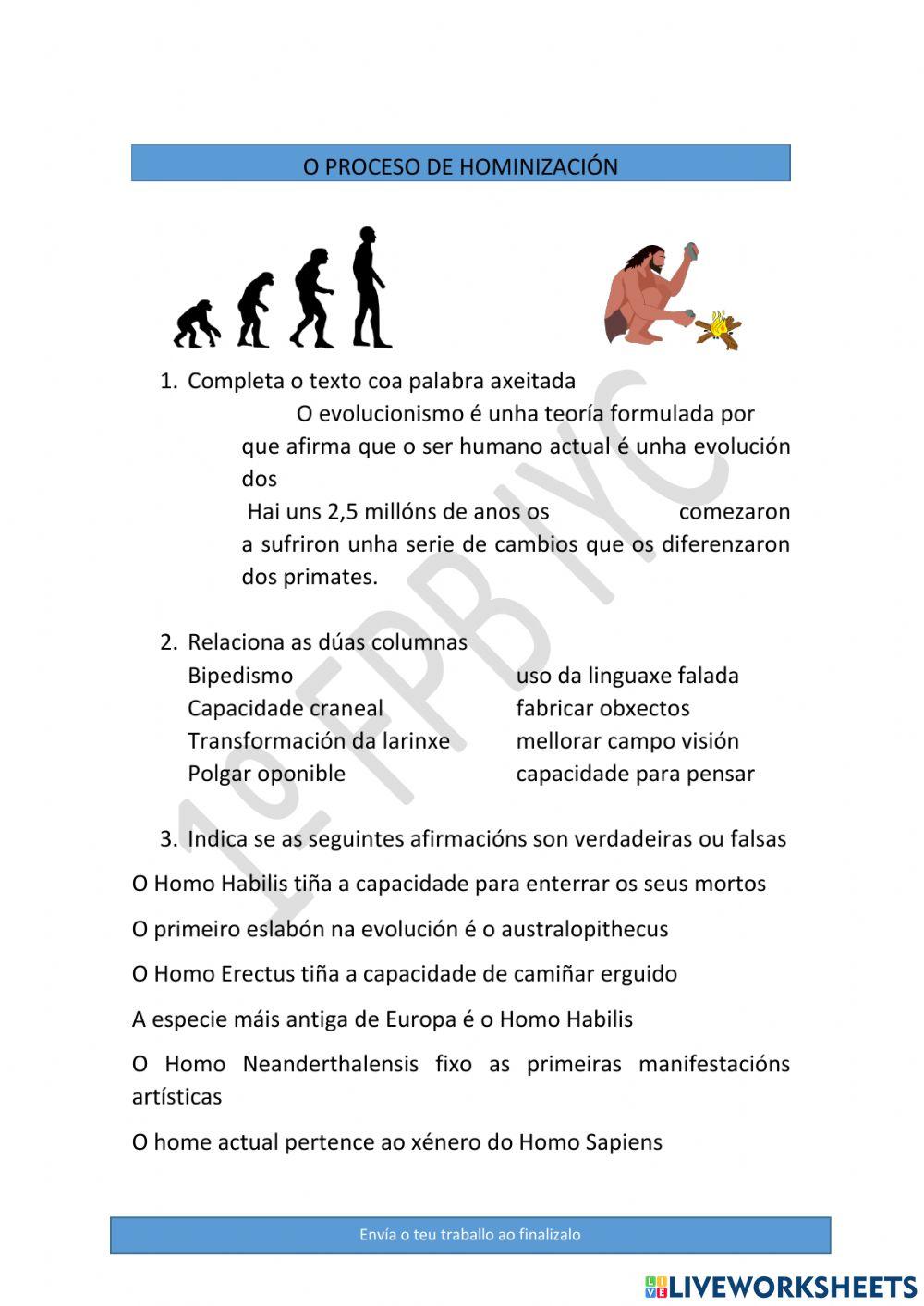 Proceso de hominización Proceso de hominización