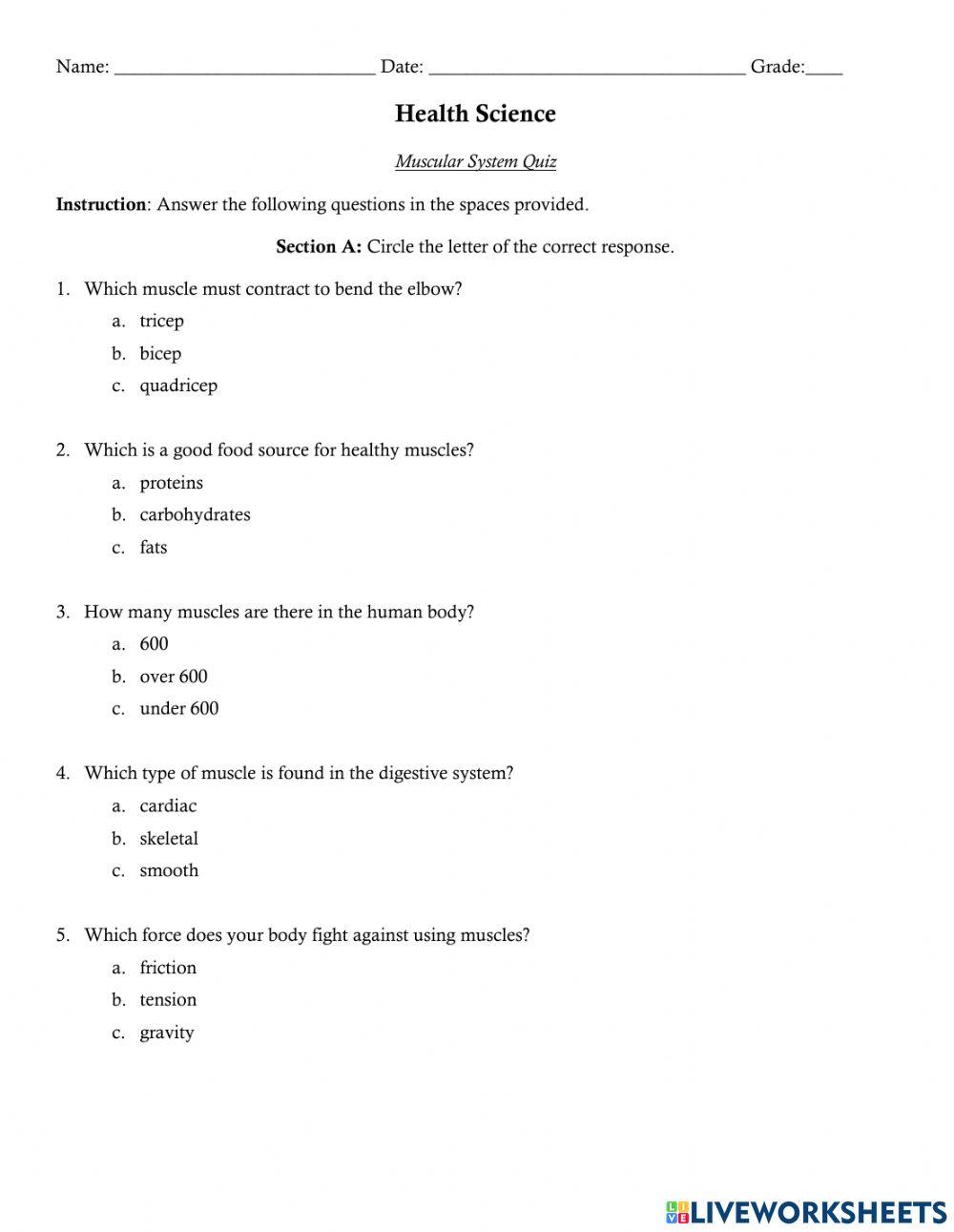 Muscular System Quiz Muscular System Quiz