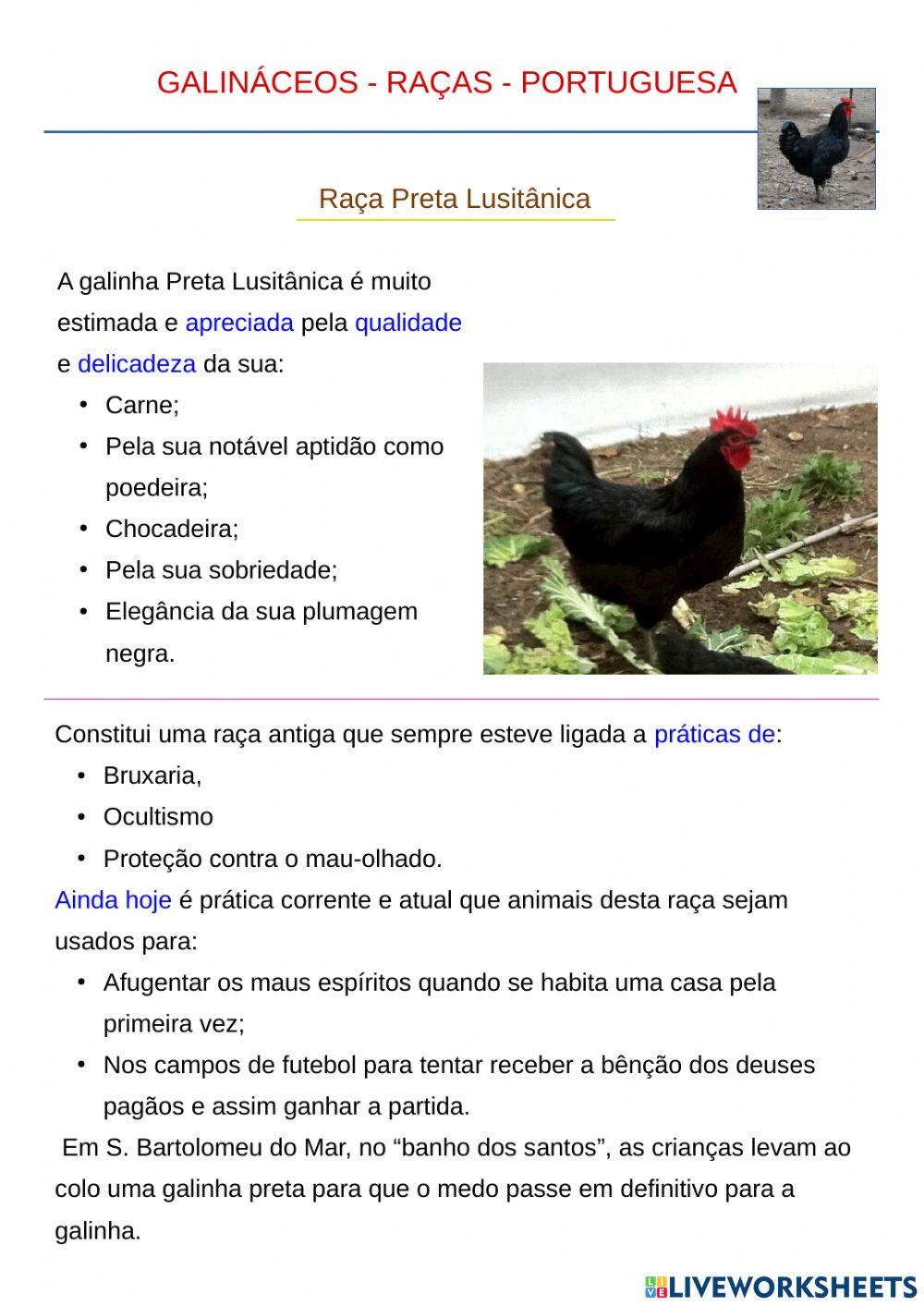 Raça de Galinhas Portuguesas