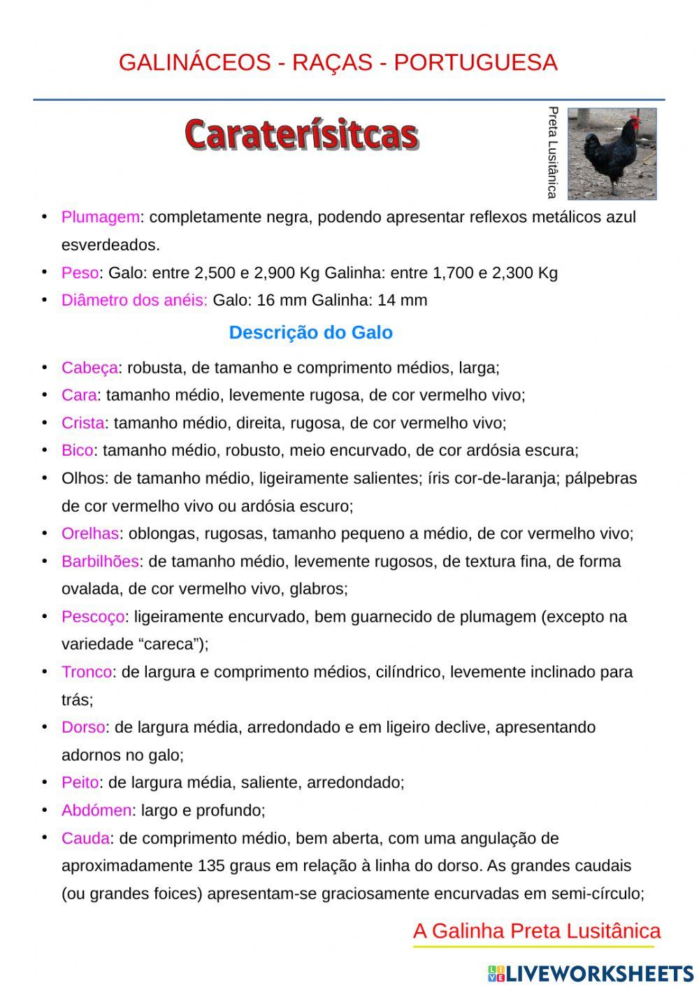 Raça de Galinhas Portuguesas