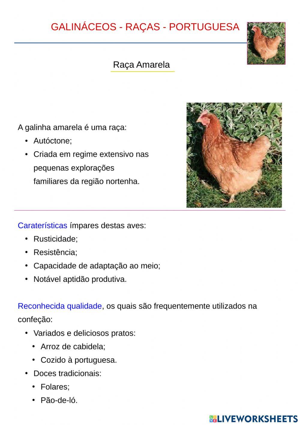 Raça de Galinhas Portuguesas