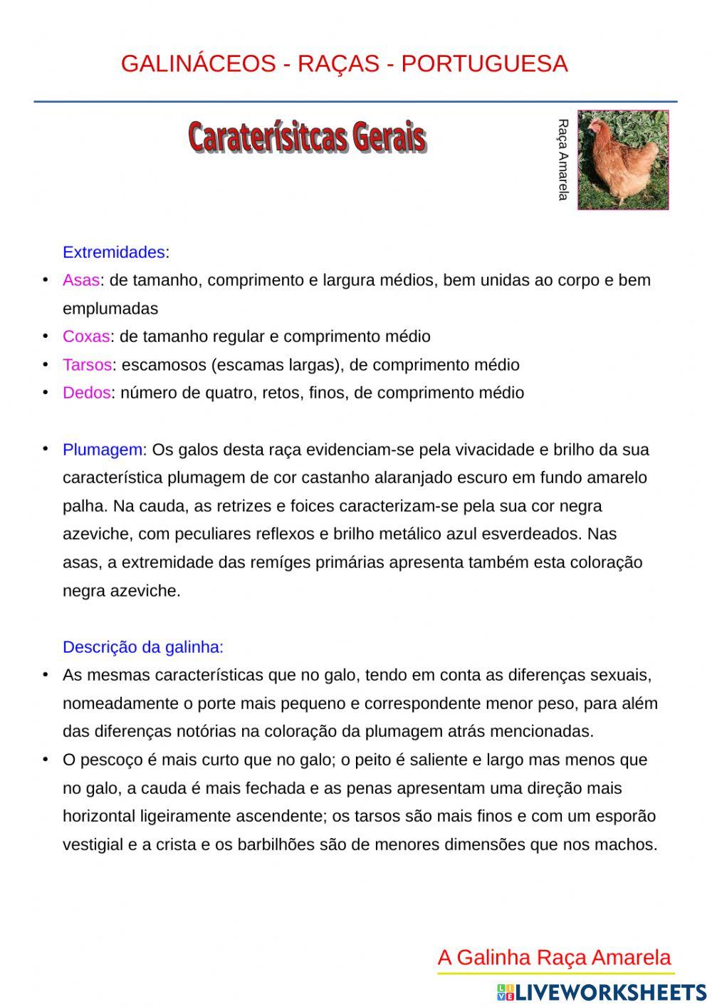 Raça de Galinhas Portuguesas