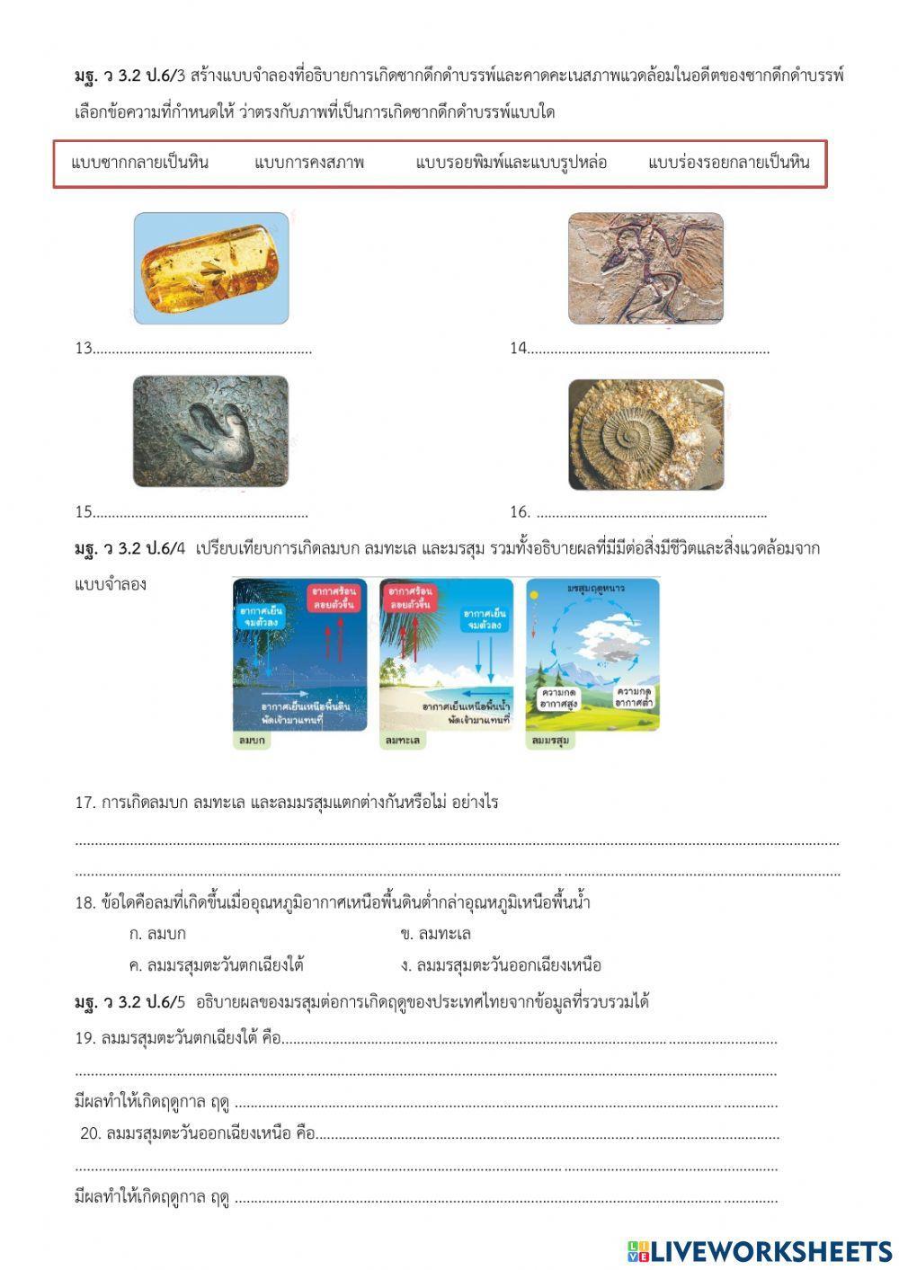 สอบกลางภาค  วิทย์ 6.2