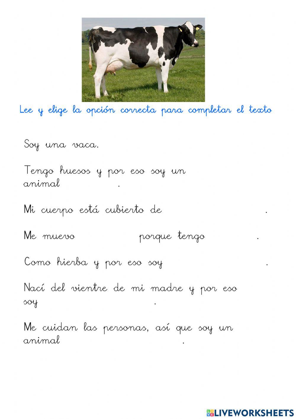 Descripción de un vivíparo. La vaca