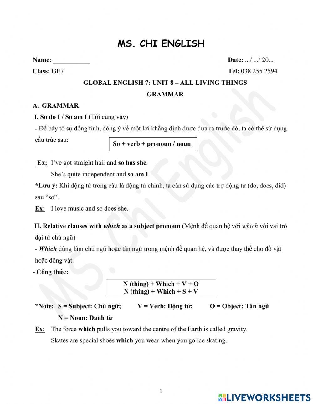 19.01.2021-GE7-U8-Grammar